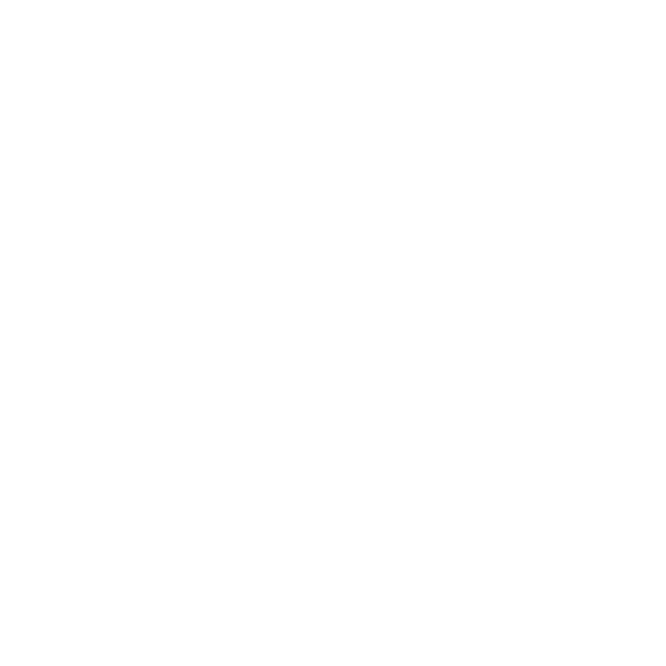 White LinkedIn Icon